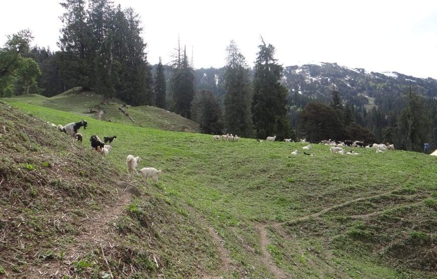 Beas Kund Trek Manali