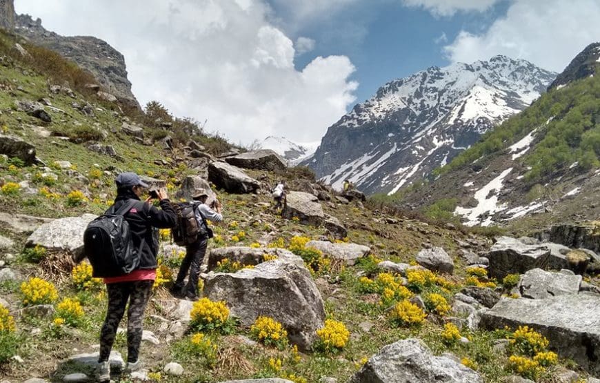 Deo Tibba Base Camp