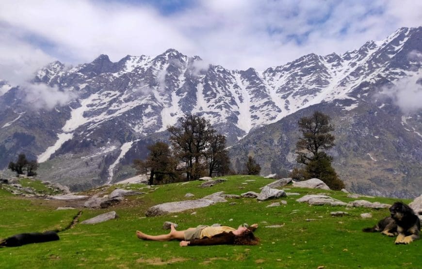 Triund Trek Mcleodganj (Camping At Triund Top)