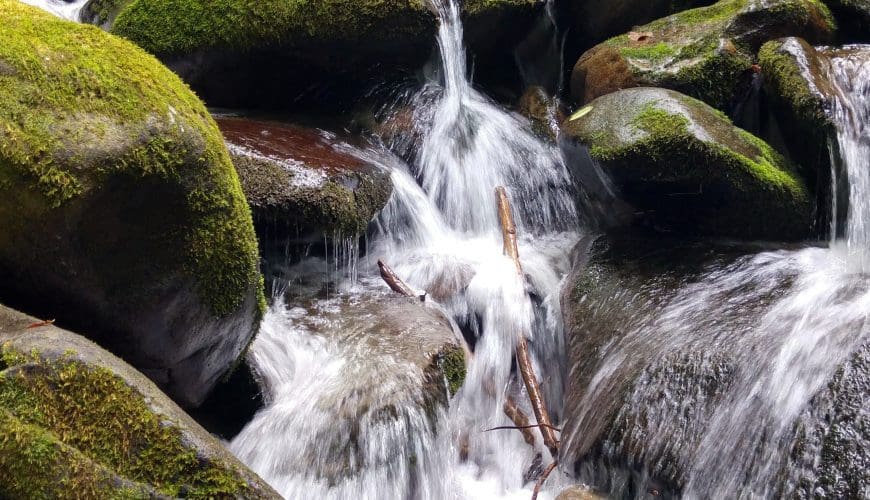 waterfall in mcleodganj