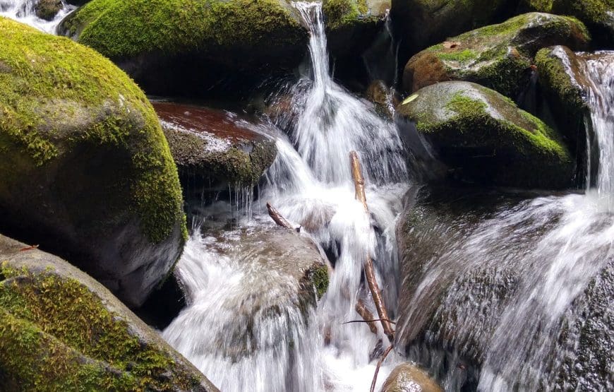 Waterfall in Mcleodganj