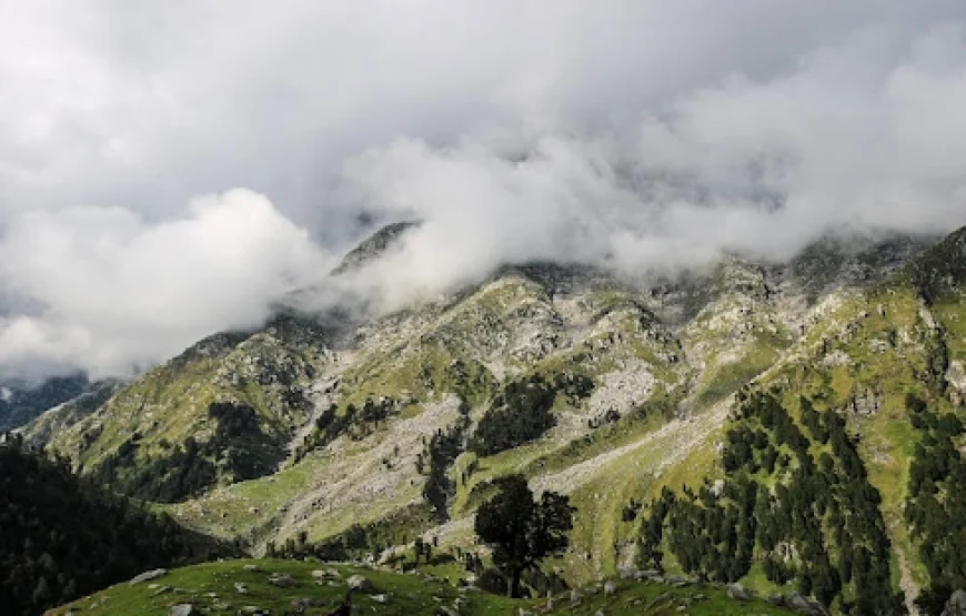 Triund Snowline Trek