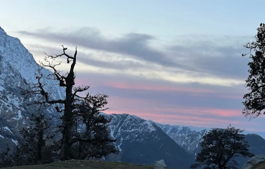 Triund Snowline Trek