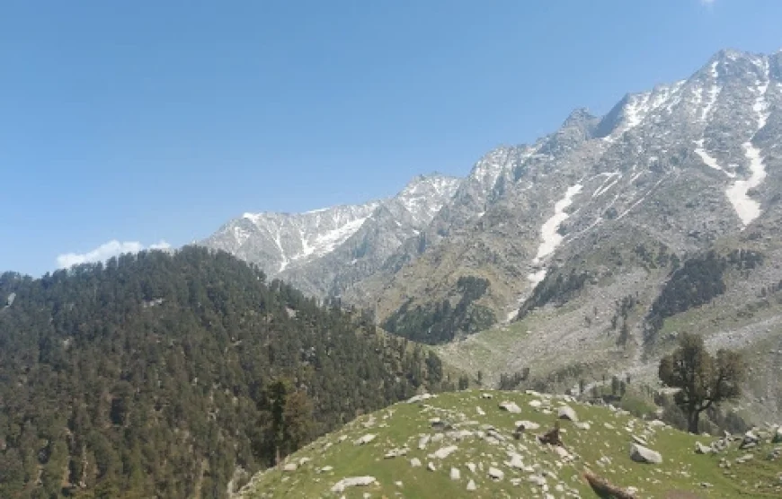 Triund Snowline Trek