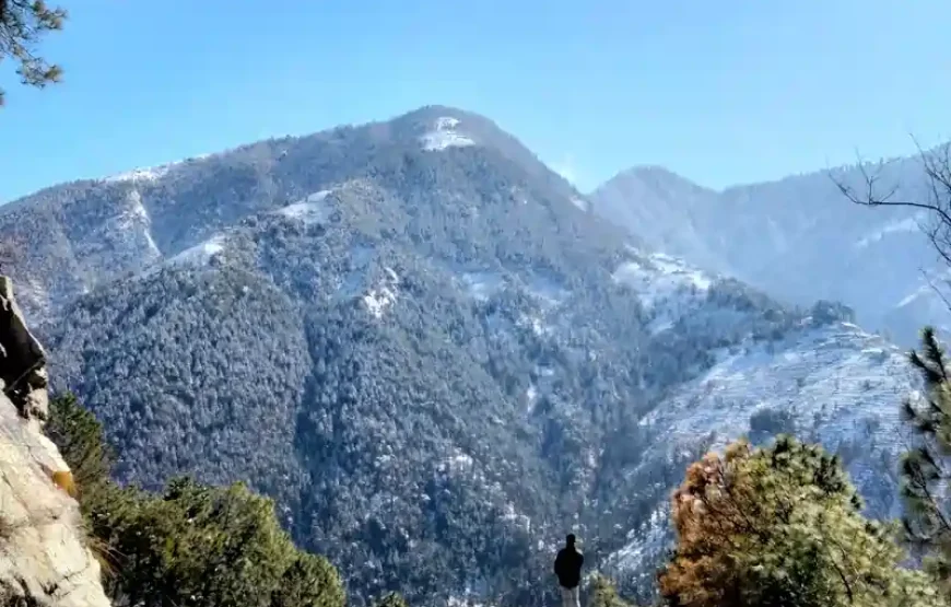 Winter Trek In Dalhousie